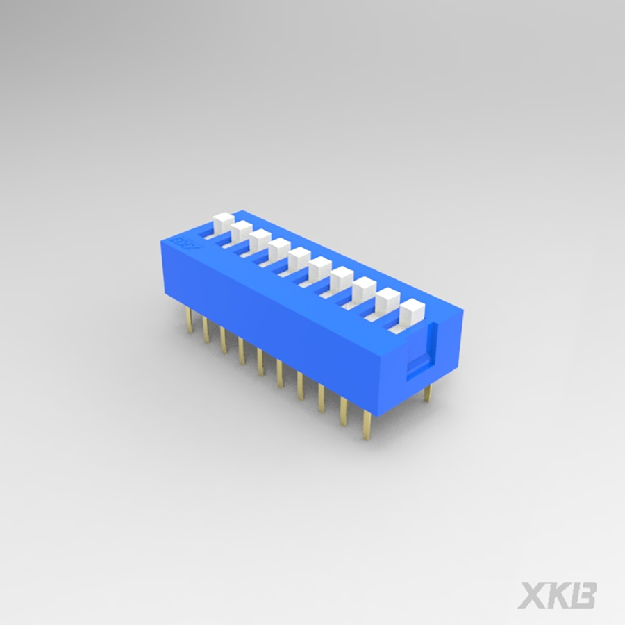 DS-10BLP-XKB Connectivity